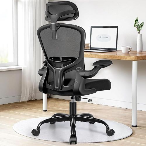 Silla felixking